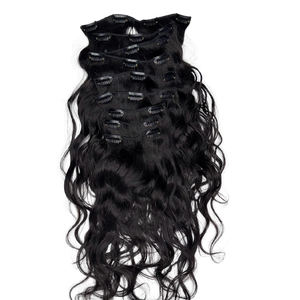 Virgin Wavy Indian Hair Clip Ins